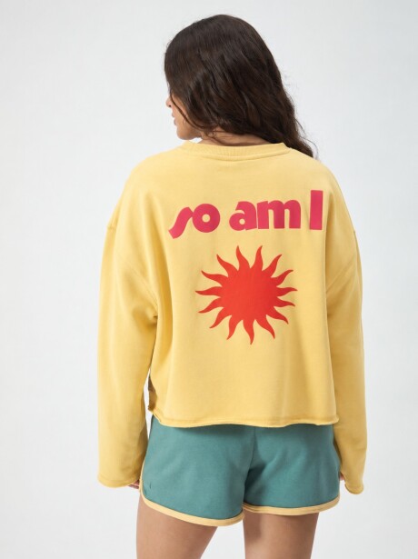 REMERON THE SUN AMARILLO