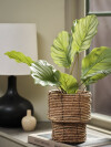 Planta artificial ROLF H55cm verde Planta artificial ROLF H55cm verde