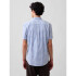 V-SS STANDARD POPLIN SP FAM BLUE GINGHAM