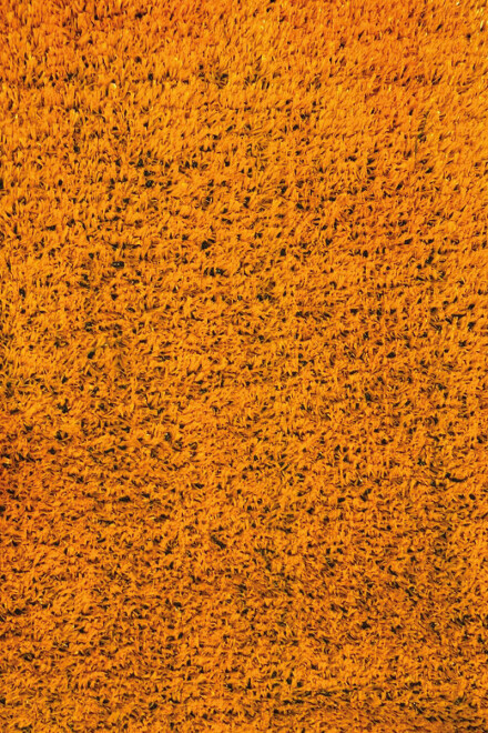 FIT GRASS 12MM CESPED SINTETICO FIT GRASS NARANJA 12MM ANCHO 2M