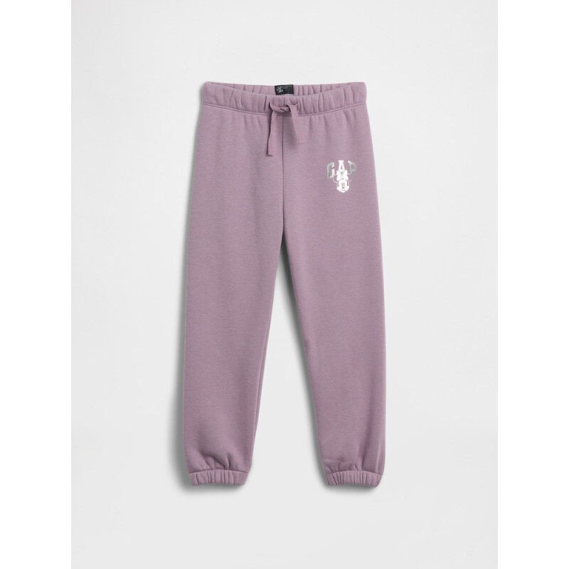 V-DISLOGO JGR SP DIS FAM AMETHYST2