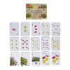 Juego de Cartas Flora Nativa del Uruguay Pika Juego de Cartas Flora Nativa del Uruguay Pika