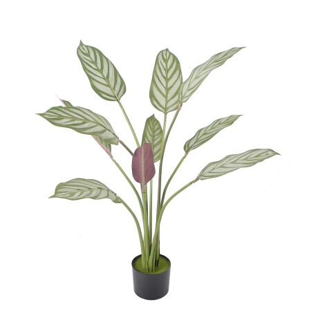 CALATHEA ARTIFICIAL Y8 VERDE ARTIFICIAL Y8560-10-4P