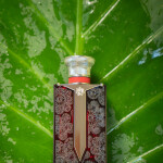 STELLA DUSTIN P ESPADA GUARANI EDP 100ML única