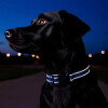 Collar Para Mascotas Talle L Refractario AZUL