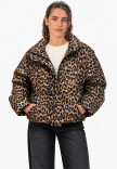 Campera Puffer Campera Puffer