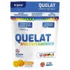 Quelat Suplemento Multivitamínico Quelatado 300 g Sabor Naranja Quelat Suplemento Multivitamínico Quelatado 300 g Sabor Naranja