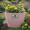 Maceta Cuadrada 24Cm Umbra Rosada Maceta Cuadrada 24Cm Umbra Rosada