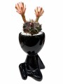 LITTLE PEOPLE CON CACTUS NEGRO