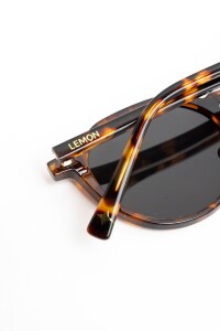 Lentes De Sol Polarizados Marron