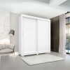 Ropero 2 Puertas Corredizas - Titanium Blanco
