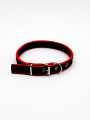 COLLAR COLORES 2 X 52CM NEGRO