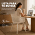 Silla Comedor X4 Cocina Aurora Marcela Nórdica Apoyabrazos Beige 1