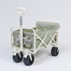 S61BC Carro De Playa Sunnylife - Seagrass Sage