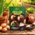 SEMILLA DE CEBOLLA TEXAS GRANO 2 GRAMOS SEMILLA DE CEBOLLA TEXAS GRANO 2 GRAMOS