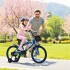 Bicicleta Infantil Sport Rod 16 Canasto Parrilla Guardabarros Azul 1