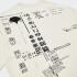 Remera Wasted Talent Kotengu Beige