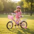 Bicicleta infantil Shengdi Rodado 14 Canasto Parrilla Hadas Rosa 2