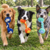 Juguete Para Perro De Cuerda Mancuerna Colores AZUL