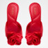 REDROSE RED RED