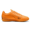 Calzado Puma 108504/03 Calzado Puma 108504/03