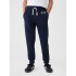 V-FRCH FT HERITAGE LOGO JOGGER TAPESTRY NAVY