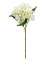 FLOR 2 O +