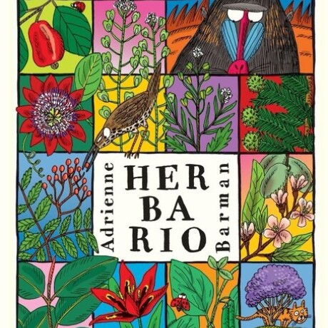 HERBARIO HERBARIO