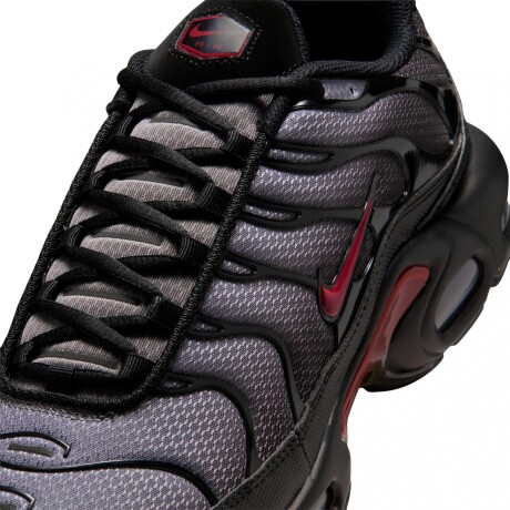 Championes Nike Air Max Plus Gray