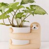 Maceta Sloth gran abrazo Maceta Sloth Gran Abrazo
