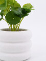 MACETA CERAMICA CON PLANTA BLANCO