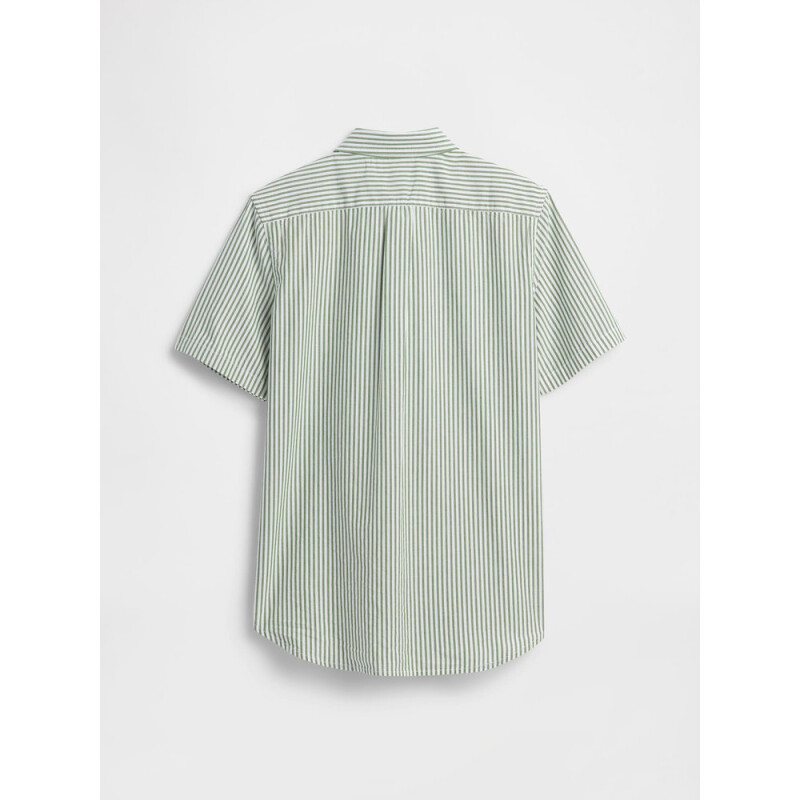 V-SS SHIRTTAIL SARATOGA GREEN