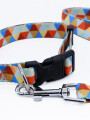 SET COLLAR Y CORREA GEOMETRICO ESTAMPADO 1
