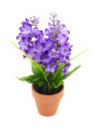 PLANTA JACINTA MACETA LILA (V)