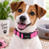 Collar Para Mascotas Talle L Refractario FUCSIA