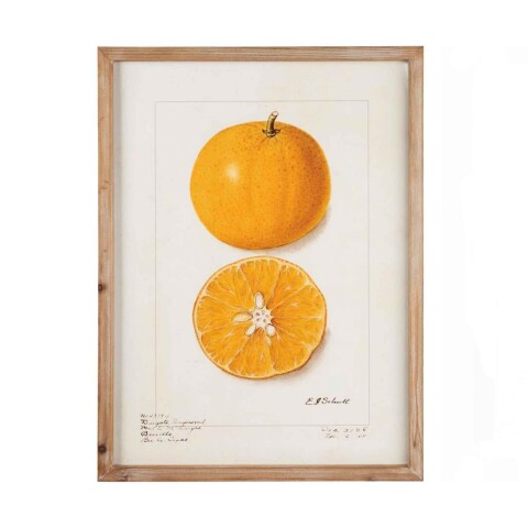 Cuadro Citric Orange