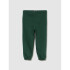 V-FRCH DISLOGO X GAP FAM JGR EVERGREEN GLAMOUR