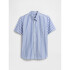 V-SS STANDARD POPLIN BLUE WHITE STRIPE