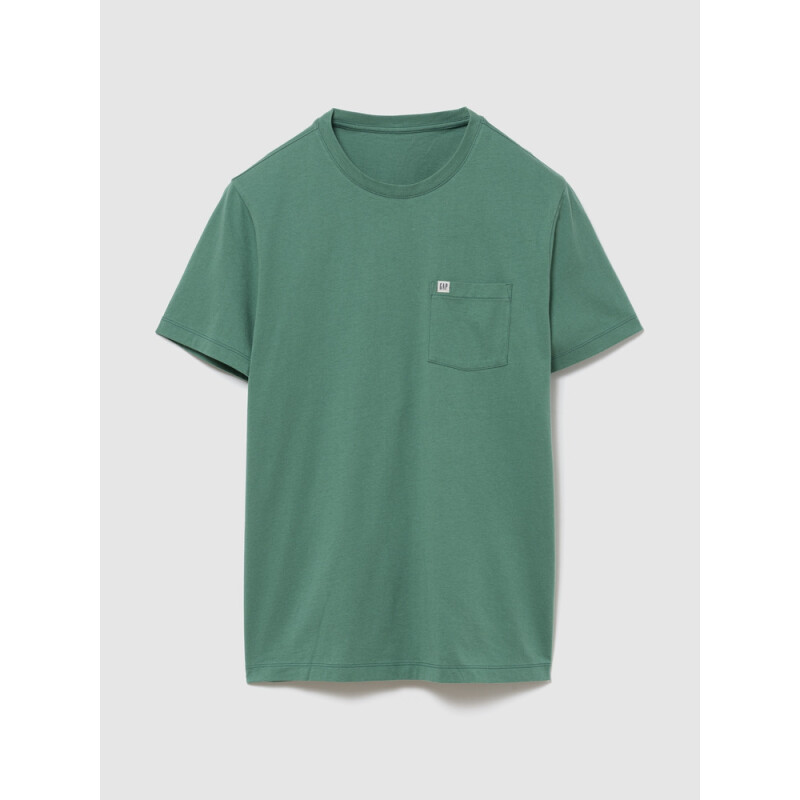 INTL - F SS PKT T LOGO NEW ALGAE 373