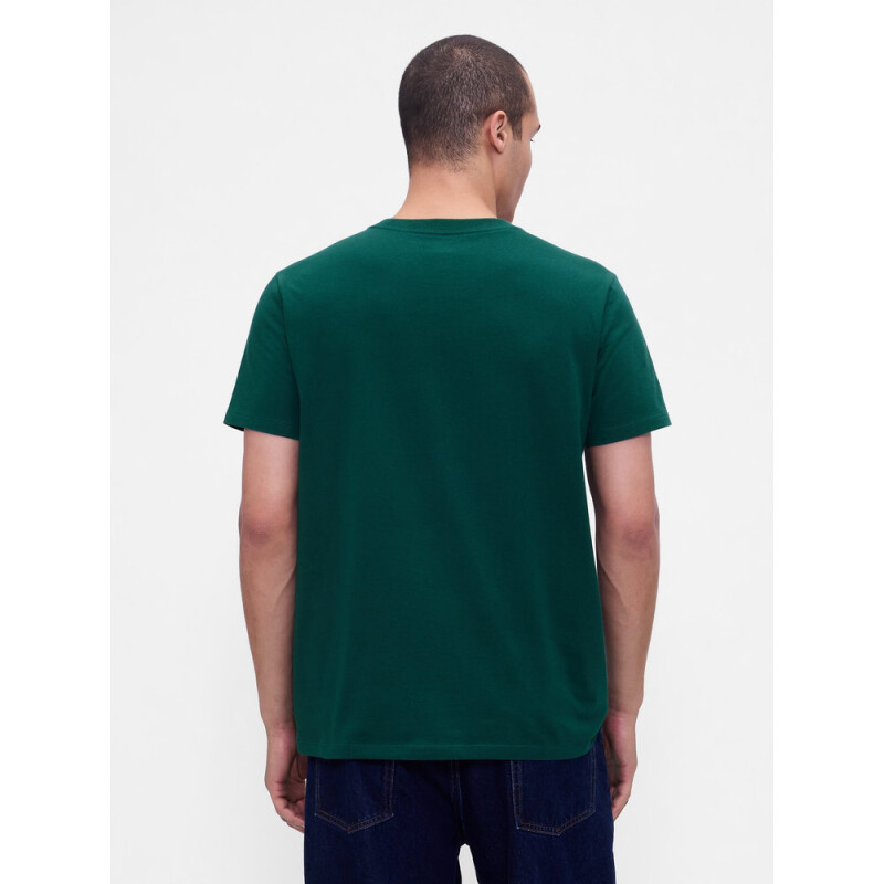 INTL NEW ARCH T TROPIC GREEN