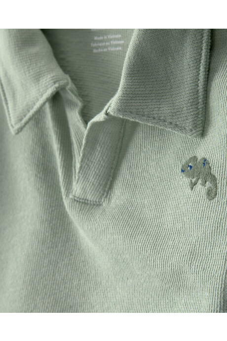 Set dos piezas de algodón, short y remera, verde, iguana bordada. Talles 6-24M Sin color