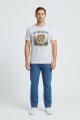 Camiseta estampada Tigre GRIS MELANGE