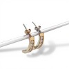 Caravanas Medio aro Zirconia-Plata y oro-Zirconia-CA5034 conpiedra