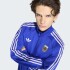 Campera Adidas Deportiva Argentina Originals. Azul