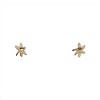 Caravanas Flor de Estrella Plata- Plata 925- Sin Piedra- CA4107 sinpiedra