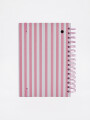 AGENDA GOOD DAY 2027 ROSA CHICLE