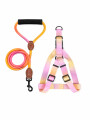 ARNES AJUSTABLE CON CORREA MULTICOLOR