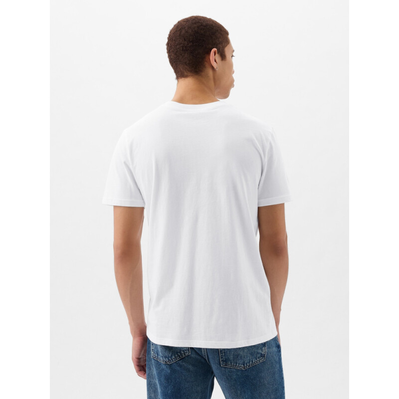 INTL - F SS PKT T LOGO OPTIC WHITE V6