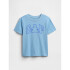 V-DB SS GR T TAPESTRY NAVY 5YRS BLUE STONE