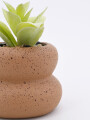 MACETA CERAMICA CON PLANTA BEIGE (V)